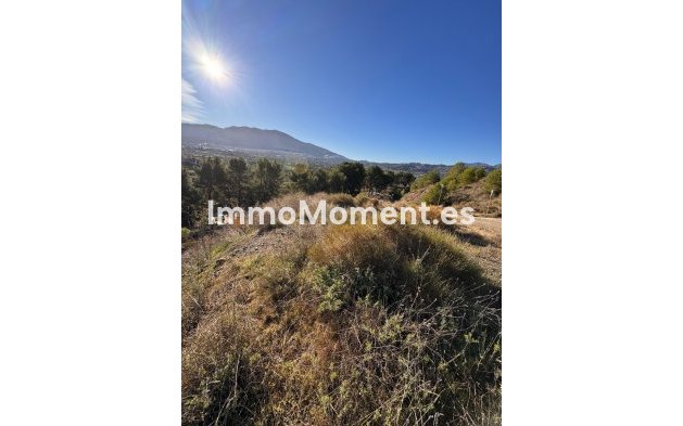 Revente - Terrain - Intérieur                       - Alhaurín el Grande Centro