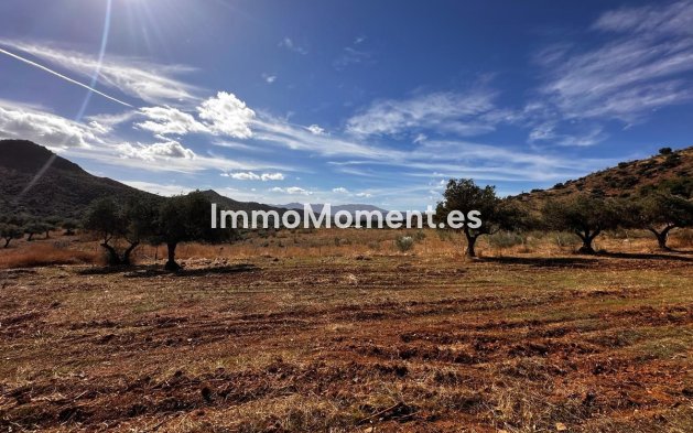Wiederverkauf - Land -   Inländisch - Almogía
