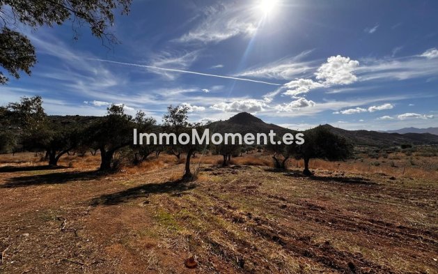 Wiederverkauf - Land -   Inländisch - Almogía