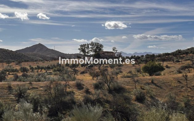 Wiederverkauf - Land -   Inländisch - Almogía