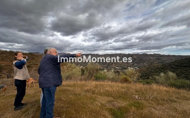 Wiederverkauf - Land -   Inländisch - Almogía