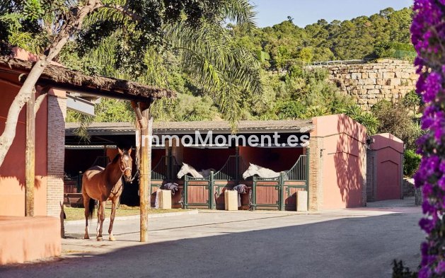 Neubau - Land - Benahavís - Benahavís Centro