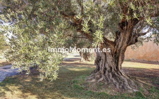 Reventa - Casa de campo - Teulada - Moraira