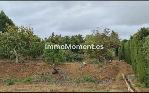 Wiederverkauf - Landhaus - Mijas - Campo Mijas