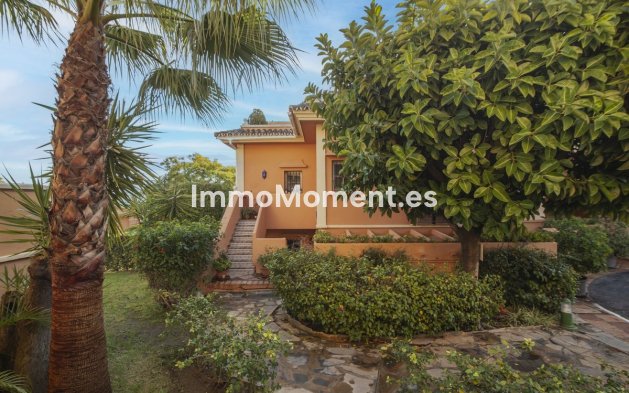 Wiederverkauf - Wohnung - Marbella - Nueva Andalucía