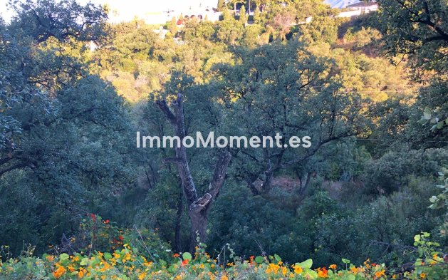 New Build - Land - Marbella - Elviria