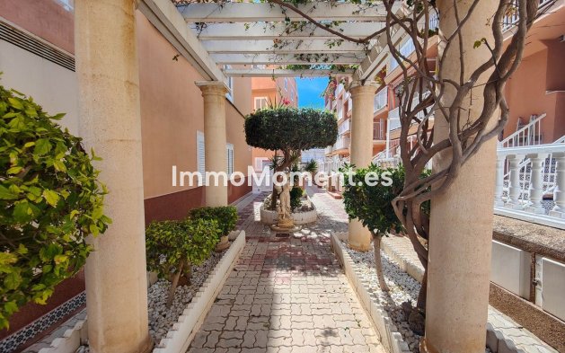 Bestaande woning - Appartement - Torrevieja - La Mata