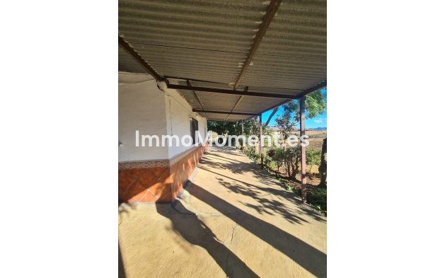 Revente - Maison de campagne - Intérieur                       - Pizarra