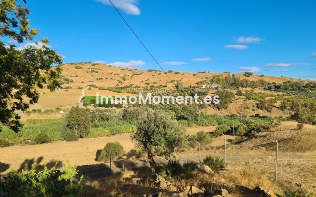 Revente - Maison de campagne - Intérieur                       - Pizarra