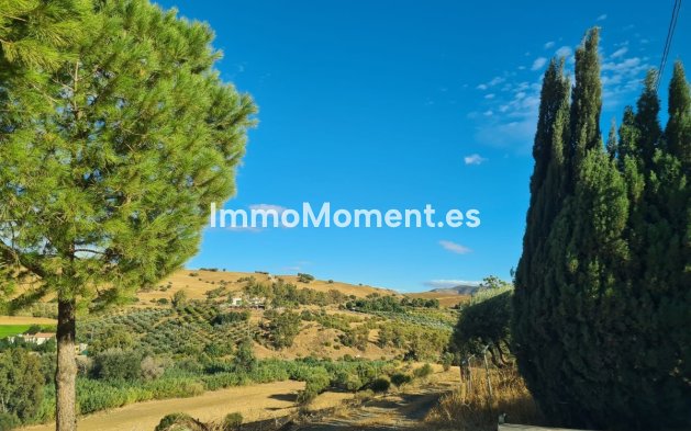 Revente - Maison de campagne - Intérieur                       - Pizarra