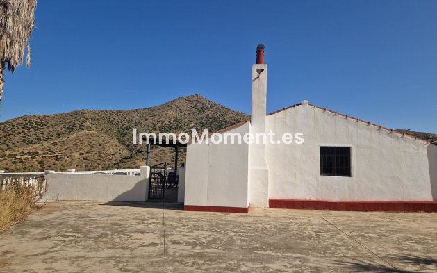 Revente - Maison de campagne - Intérieur                       - Pizarra