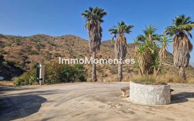 Revente - Maison de campagne - Intérieur                       - Pizarra