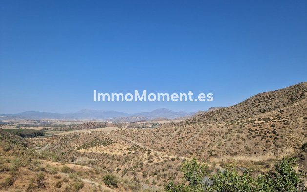 Revente - Maison de campagne - Intérieur                       - Pizarra