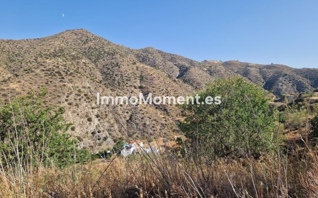 Revente - Maison de campagne - Intérieur                       - Pizarra