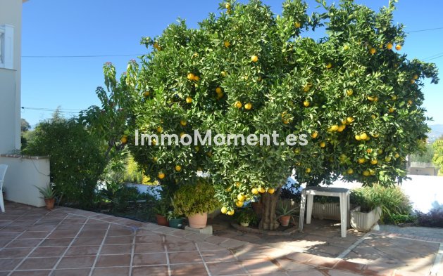 Reventa - Villa - Interior  - Alhaurín de la Torre