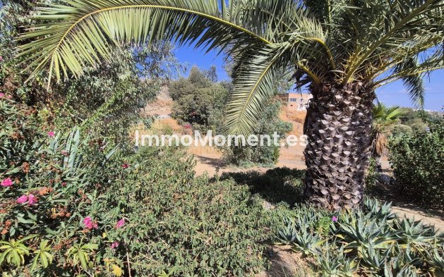 Revente - Villa - Intérieur                       - Coín