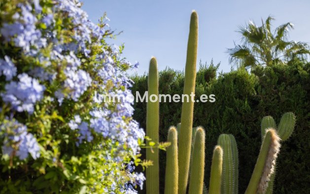 Resale - Villa - Cartagena - Playa Honda