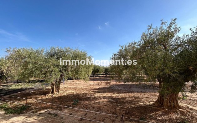 Revente - Villa - Fuente Alamo - Fuente Álamo de Murcia