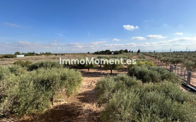 Revente - Villa - Fuente Alamo - Fuente Álamo de Murcia