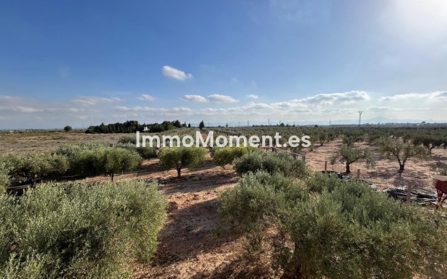 Revente - Villa - Fuente Alamo - Fuente Álamo de Murcia