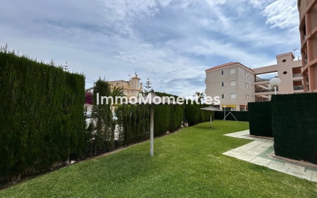 Wiederverkauf - Wohnung - Orihuela - Playa Flamenca