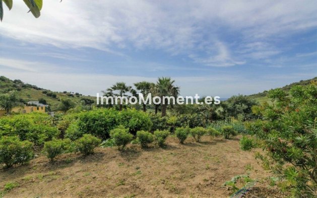 Resale - Country house - Estepona - Estepona Centro