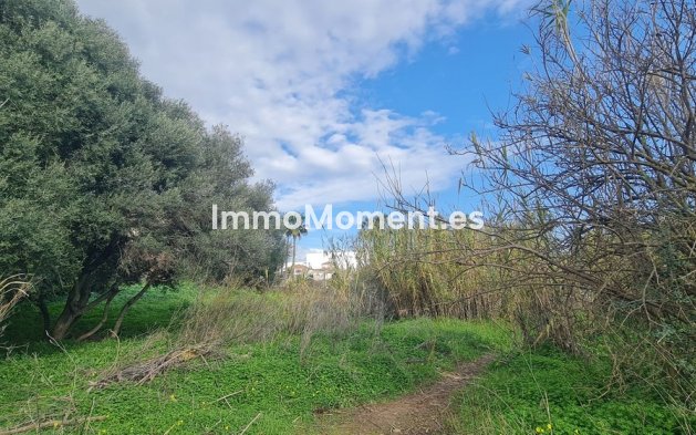 Wiederverkauf - Land - Mijas - Campo Mijas