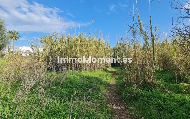 Wiederverkauf - Land - Mijas - Campo Mijas