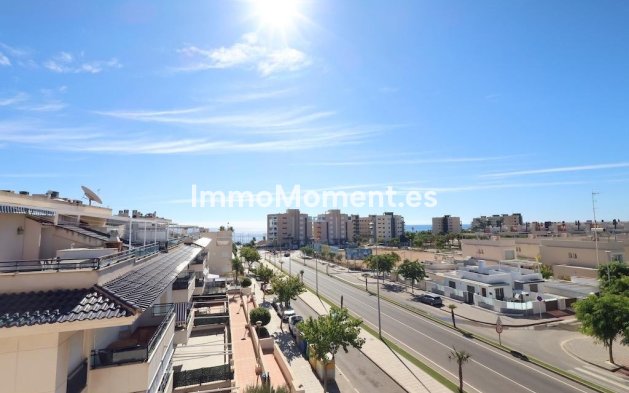 Revente - Appartement - Orihuela - Mil Palmeras
