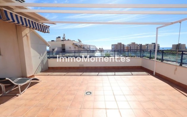 Revente - Appartement - Orihuela - Mil Palmeras