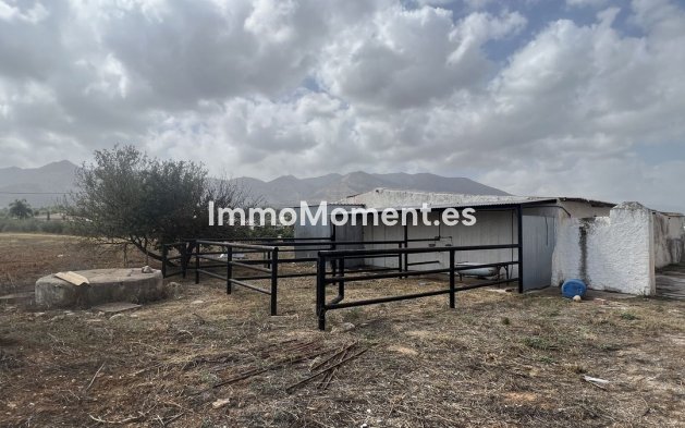 Revente - Maison de campagne - Intérieur                       - Alhaurín de la Torre