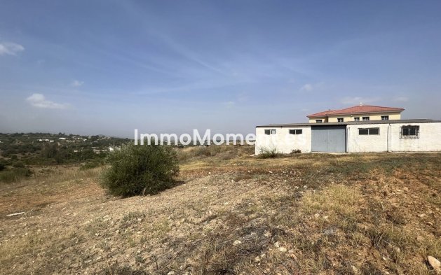 Revente - Maison de campagne - Intérieur                       - Alhaurín de la Torre