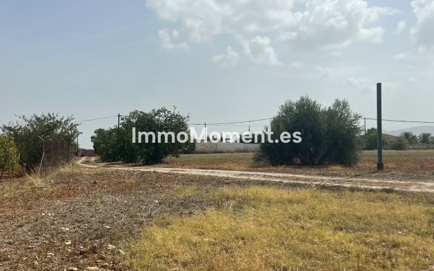 Revente - Maison de campagne - Intérieur                       - Alhaurín de la Torre