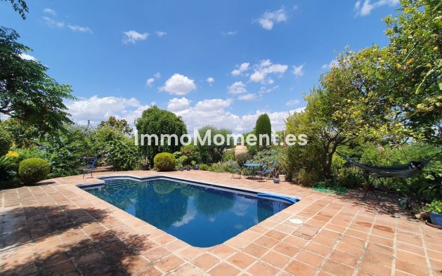 Revente - Maison de campagne - Intérieur                       - Alhaurín el Grande Centro