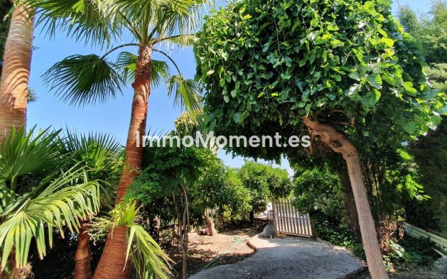 Revente - Maison de campagne - Intérieur                       - Alhaurín el Grande Centro