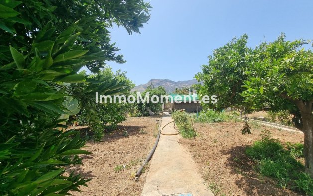 Revente - Maison de campagne - Intérieur                       - Alhaurín el Grande Centro