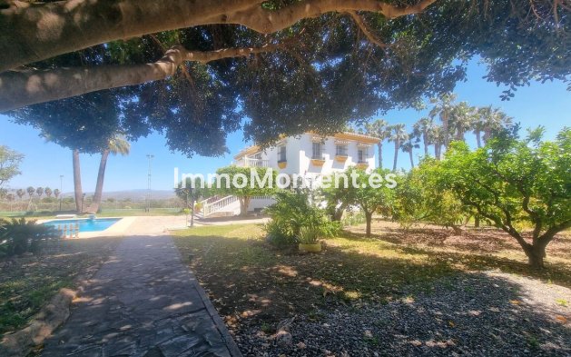 Revente - Maison de campagne - Intérieur                       - Alhaurín el Grande Centro