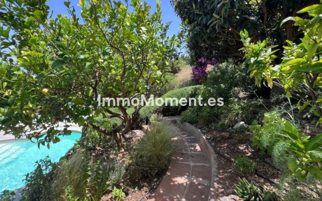 Revente - Maison mitoyenne - Intérieur                       - Alhaurín el Grande Centro