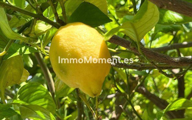 Revente - Maison mitoyenne - Intérieur                       - Alhaurín el Grande Centro