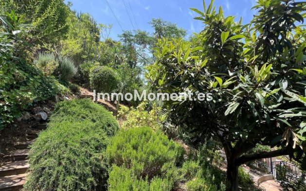 Revente - Maison mitoyenne - Intérieur                       - Alhaurín el Grande Centro