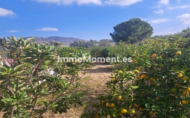 Revente - Maison de campagne - Intérieur                       - Alhaurín el Grande Centro