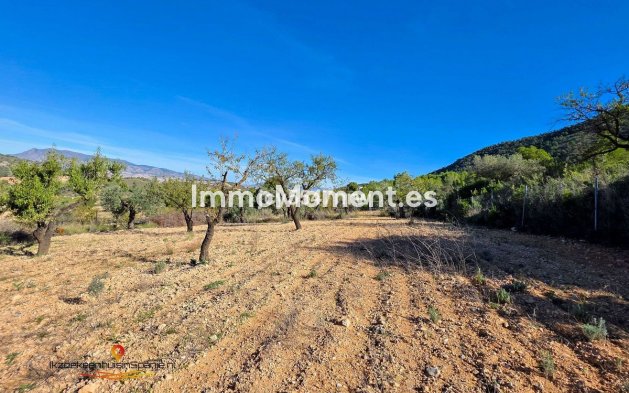 Revente - Villa - Abanilla - Abanilla Centro