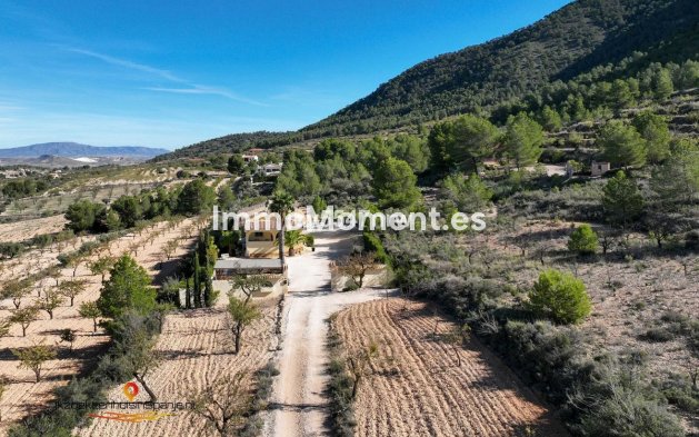 Revente - Villa - Abanilla - Abanilla Centro