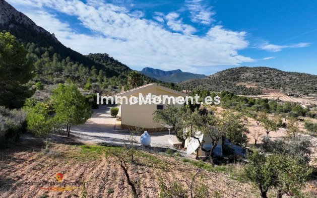 Revente - Villa - Abanilla - Abanilla Centro