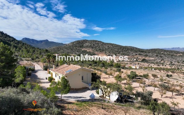 Revente - Villa - Abanilla - Abanilla Centro