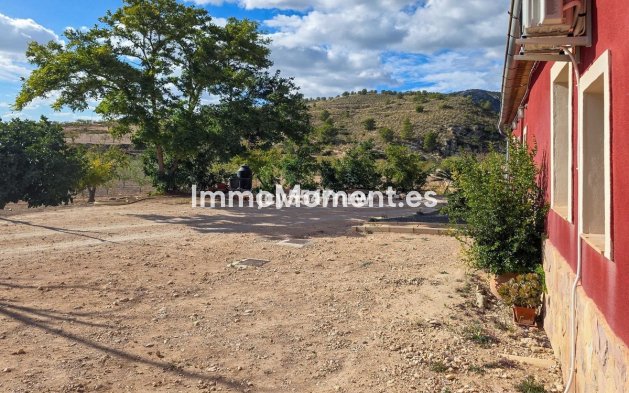 Reventa - Casa de campo - Jumilla - Jumilla Centro