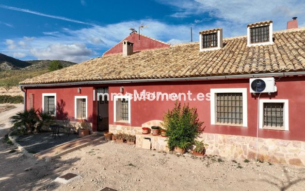 Reventa - Casa de campo - Jumilla - Jumilla Centro