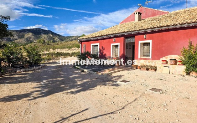 Reventa - Casa de campo - Jumilla - Jumilla Centro