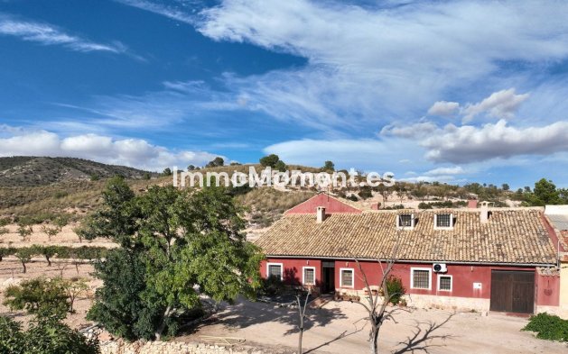 Reventa - Casa de campo - Jumilla - Jumilla Centro