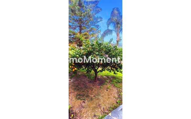 Revente - Villa - Intérieur                       - Alhaurín el Grande Centro